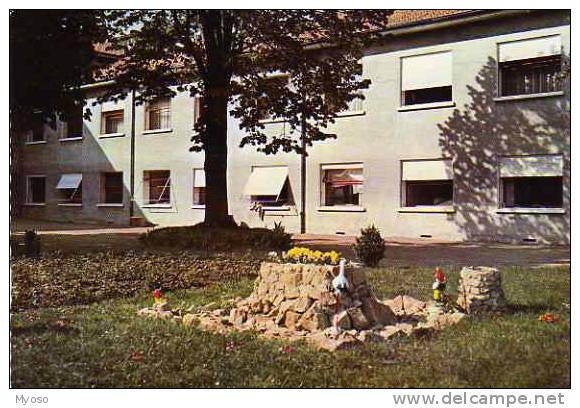 69 L'ARBRESLE L´Hopital Maternité Facade Sur Le Jardin - L'Abresle