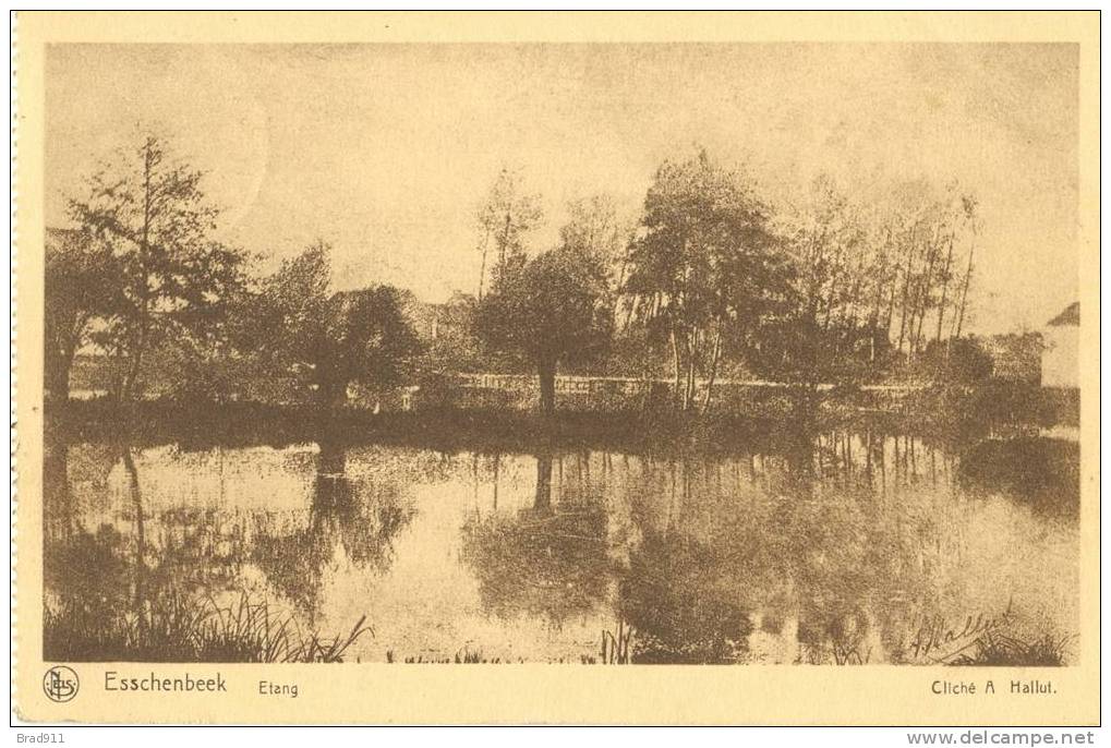 Halle - Esschenbeek /Essenbeek, Etang (Cliché à Hallut) - 1925 - Halle