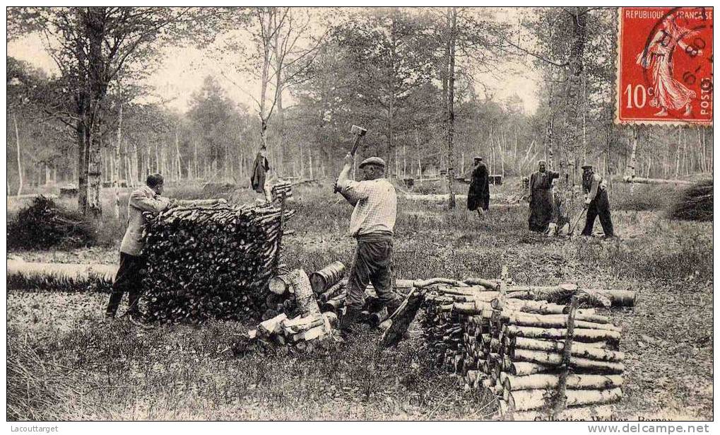 Beaumont-le-Roger  -  La Forêt En Exploitation - Beaumont-le-Roger