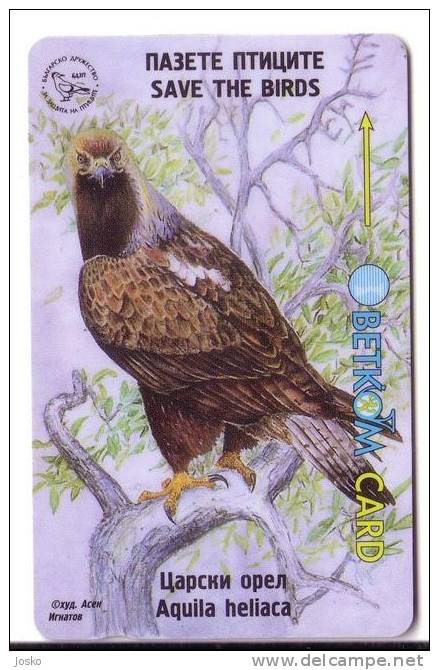 AQUILA HELIACA ( Bulgaria 42BULG ) *** Eagle - Aigle - Adler - Aguila * Birds Of Pray - Raptors Bird - Vulture - Bulgarie