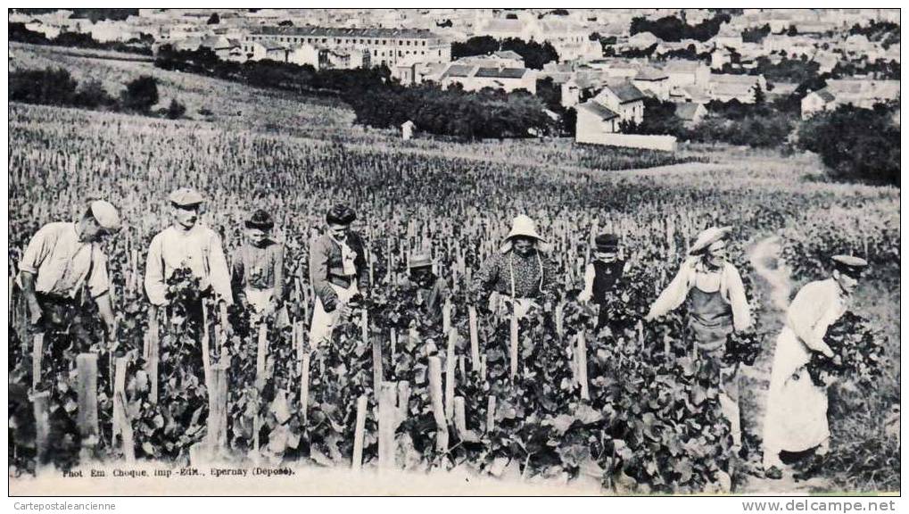 51 MAREUIL Sur AY CHAMPAGNE GASTINEAU TRAVAIL De La VIGNE Le ROGNAGE 26.07.1906 à BARON Rue Temple Paris - Mareuil-sur-Ay