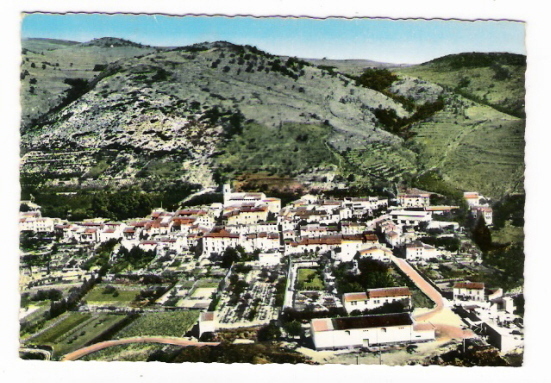 PYRENEES-ORIENTALES  /  SOURNIA  /  CAVE  COOPERATIVE + MAISON  DE  REPOS + VUE  GENERALE  /  éd. LA  PIE  N° 4 K - Sournia