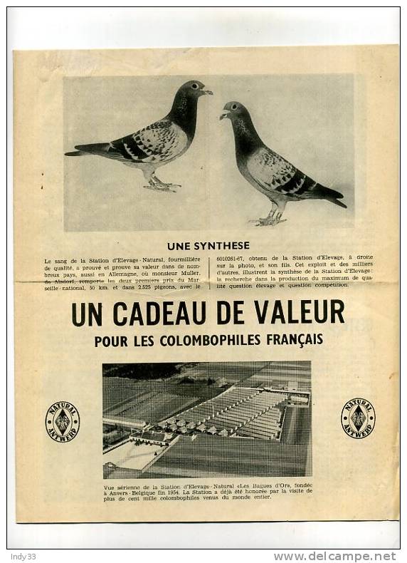 - PUBLICITE POUR LA STATION D´ELEVAGE-NATURAL DE PIGEONS A ANVERS . FEUILLET DOUBLE - Pubblicitari