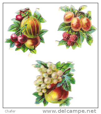 Lot De Trois Découpis  Fruits - - Andere & Zonder Classificatie