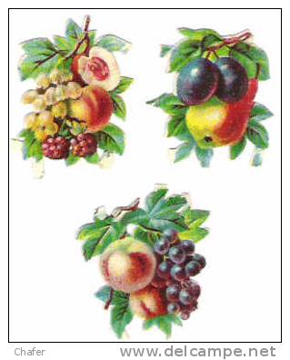 Lot De Trois Découpis  Fruits - - Autres & Non Classés