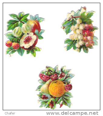 Lot De Trois Découpis  Fruits - - Other & Unclassified