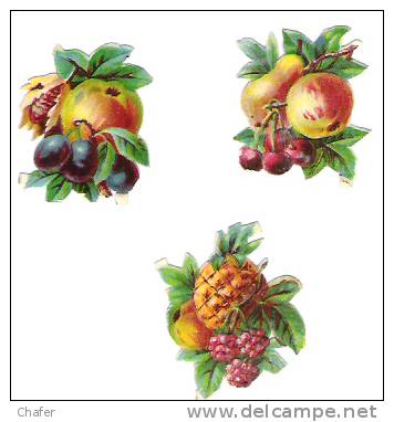 Lot De Trois Découpis  Fruits - - Sonstige & Ohne Zuordnung