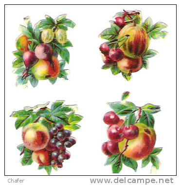 Lot De Quatre Découpis  Fruits - - Sonstige & Ohne Zuordnung