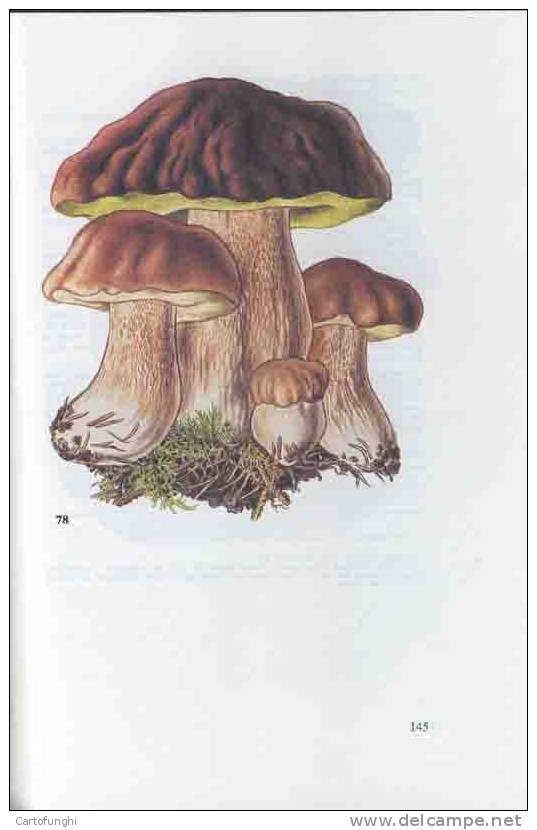 M TASCHENBUCH FUR PILZFREUNDE - FUNGHI CHAMPIGNONS SETAS - Other & Unclassified