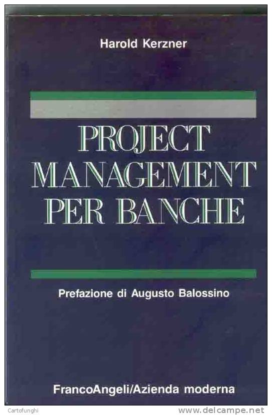 S PROJECT MANAGEMEMENT PER BANCHE - Society, Politics & Economy