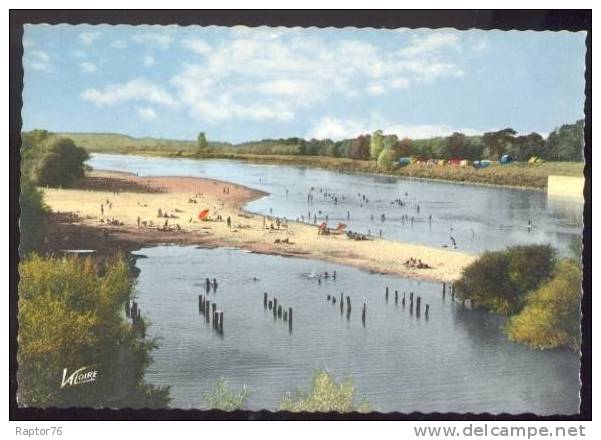 CPSM CHATILLON Sur LOIRE La Plage - Chatillon Sur Loire