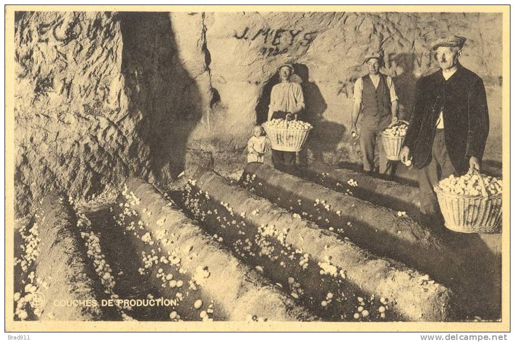 Orp-Jauche: Folx-les-Caves - Grandes Champignonnières - Couches De Production - Orp-Jauche