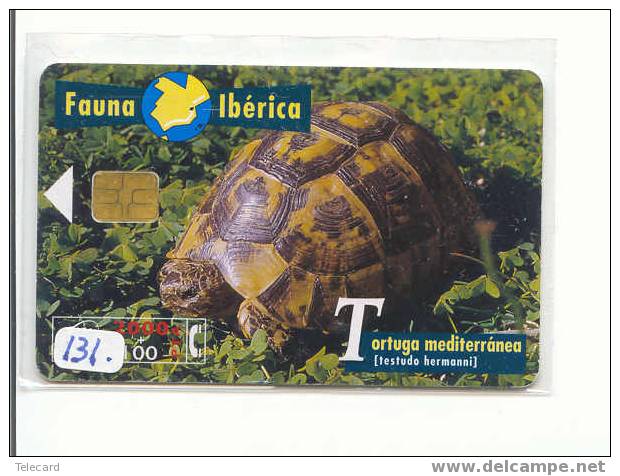 Turtle - Schildpad - Sea Turtle – Tortoise – Schildkroete – Tartaruga – Tortue (131) - Turtles