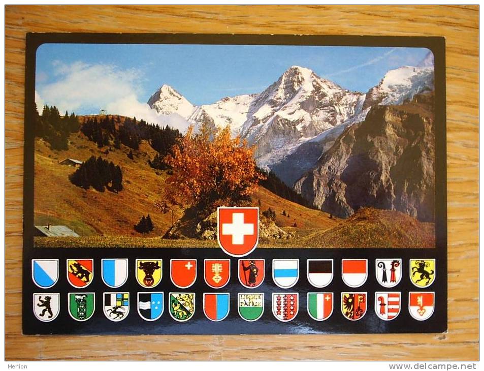 Mürren  CH-BE  VF  D17965 - Mürren