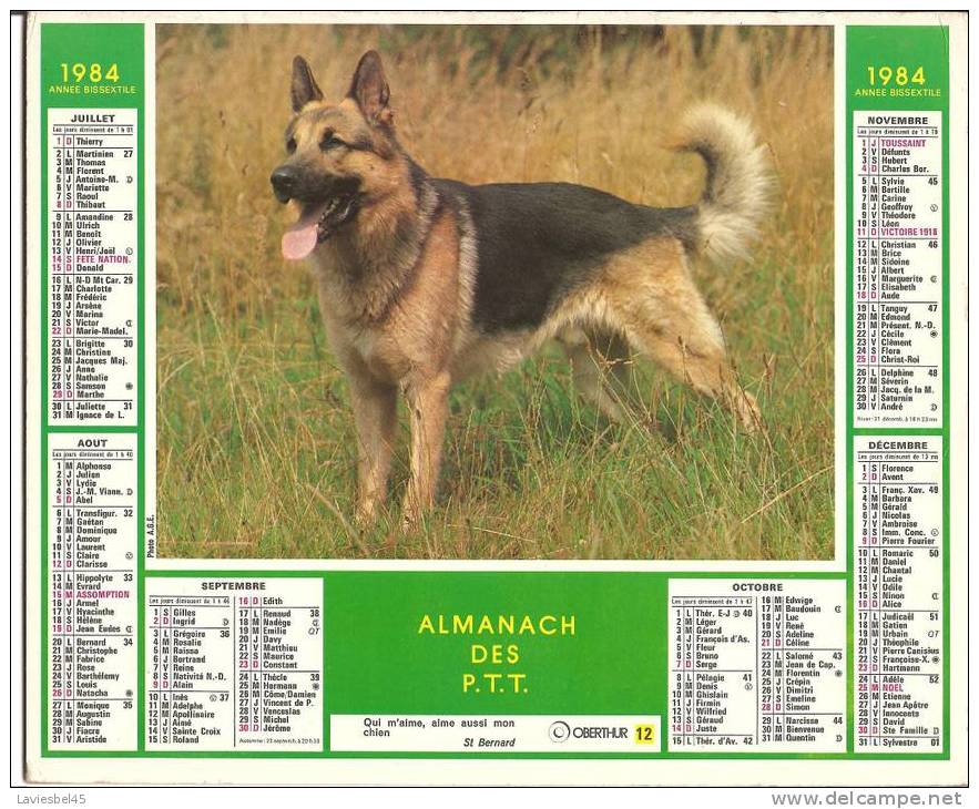 ALMANACH DES PTT ANNEE 1984 - OBERTHUR - 12 - Photo A.G.E. - Grand Format : 1981-90