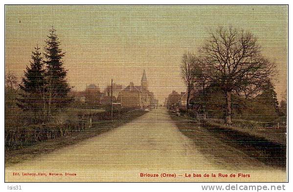 Dép 61 - O92 - Briouze - Le Bas De La Rue De Flers - Carte Toilée Couleurs - Bon état - Briouze