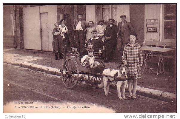 LOIRET - Ouzouer Sur Loire - Attelage De Chien - Ouzouer Sur Loire