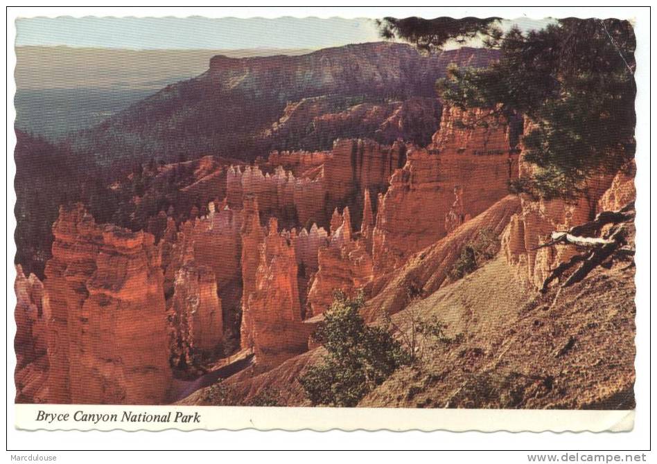 Bryce Canyon National Park, Utah. Bryce Canyon's Distinguishing Characteristic Is The Brilliant Coloring Of Its Walls. - Bryce Canyon