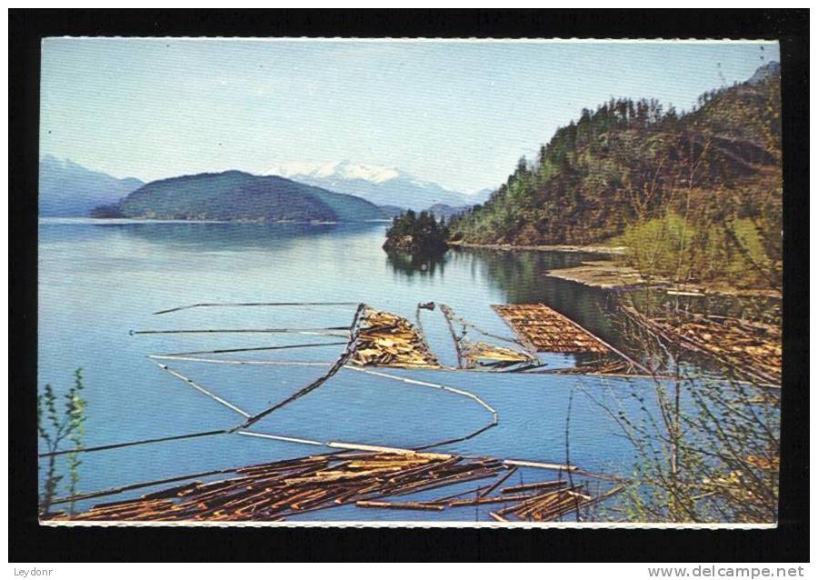 Beautiful British Columbia, Canada - Logging - Altri & Non Classificati