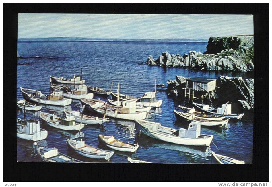 Fishing Boats At Hibbs Cove, Newfoundland, Canada - Autres & Non Classés