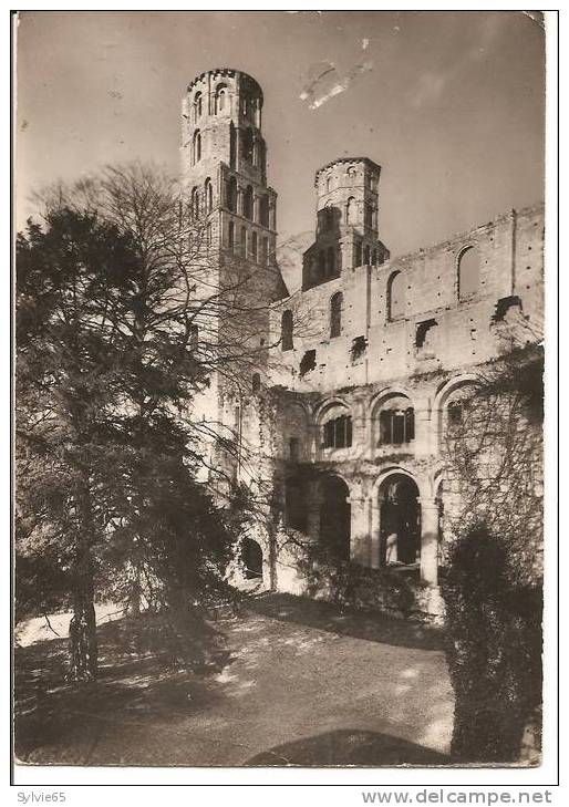 JUMIEGES-ruine De L'abbaye , L'église Notre Dame Sud Est - Jumieges