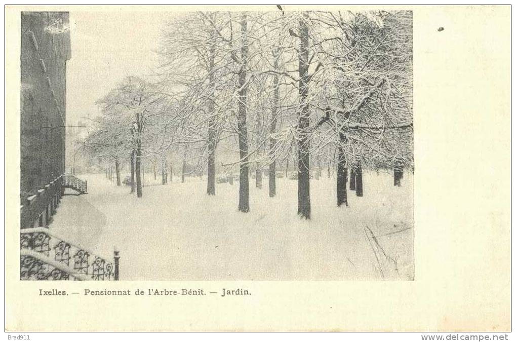 Ixelles - Elsene : Pensionnat De L´Arbre-Bénit - Jardin En L´hiver - De Tuin In De Winter +/- 1910 - Ixelles - Elsene