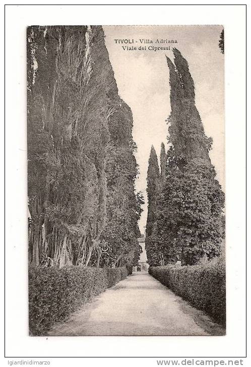 TIVOLI (RM) 1920 - Viale Dei Cipressi Della VILLA ADRIANA - Viaggiata - In Buone Condizioni - DC1363. - Tivoli