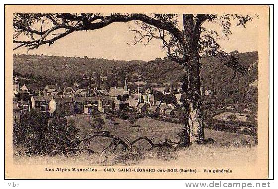 Saint Léonard Des Bois. _ Alpes Mancelles._ Vue Générale. - Saint Leonard Des Bois