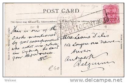 NSW058/ Wappenfrankatur 1 D Auf AK  Catedrale Sydney 1909, Strafporto - Briefe U. Dokumente