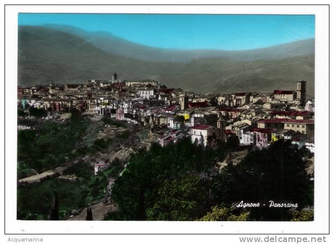 AGNONE - Panorama - Cartolina FG BR NV - Andere & Zonder Classificatie