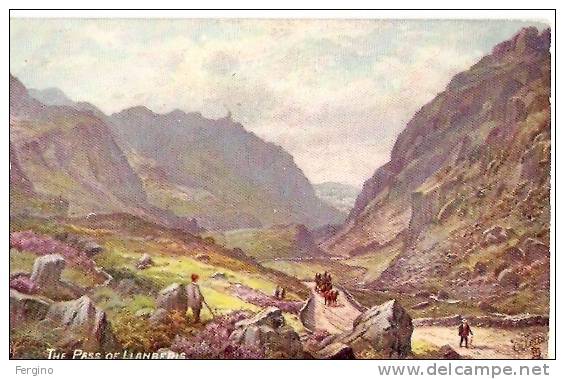 1649/FP/08 - THE PASS OF LLANBERIS (GRAN BRITAIN) - Oilette - Caernarvonshire