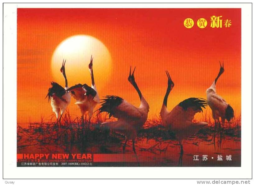 Bird Crane     Pre-stamped Card , Postal Stationery - Kranichvögel