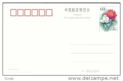 Disabled Person  Low-Vision, Blind Person,  Pre-stamped Card , Postal Stationery - Handisport