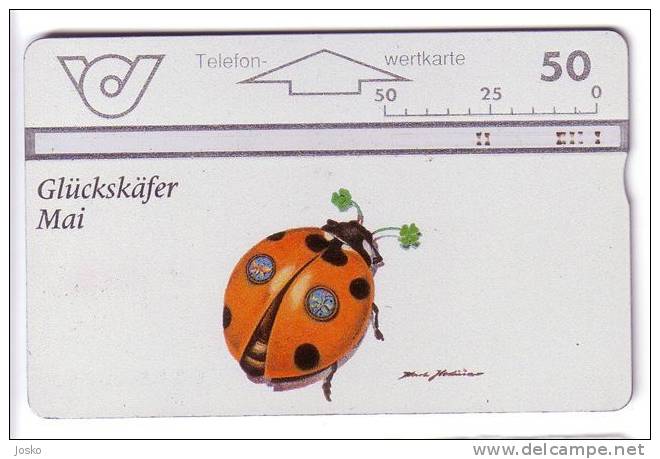 LADYBIRD  ( Austria - Gluckskafer )*** Coccinelle - Marienkäfer - Coccinella - Ladybirds - Coccinelles - Bug Lady Bird* - Lieveheersbeestjes