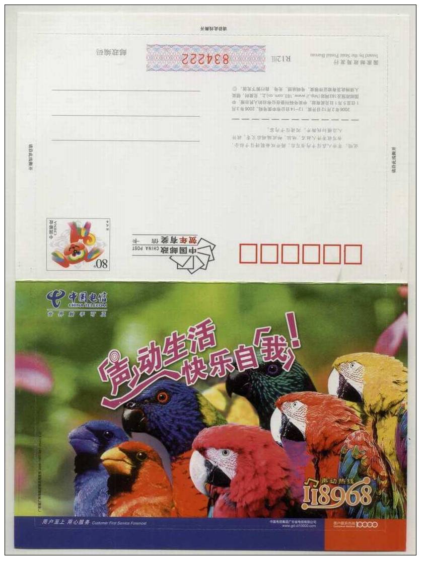 Parrot Bird,CN 06 China Telecom Guangdong Branch Advertising Pre-stamped Letter Card - Papagayos
