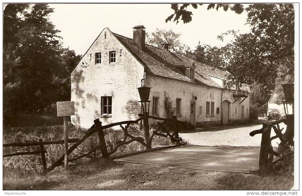 Opoeteren - Maaseik