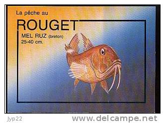 Jolie CP Poisson Le Rouget Mel Ruz En Breton - Avec Conseils De Pêche Au Dos Appât Hameçon Pêcheur - Vissen & Schaaldieren