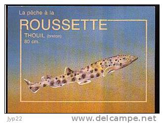 Jolie CP Poisson La Roussette Thouil En Breton - Avec Conseils De Pêche Au Dos Appât Hameçon Pêcheur - Fish & Shellfish