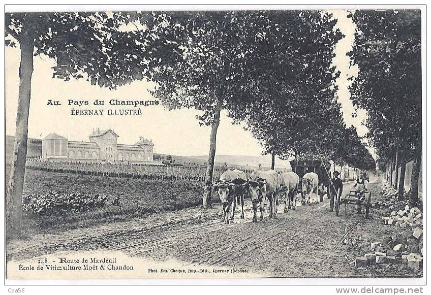 Route De MARDEUIL - Vignes, Vignobles CHAR à BOEUFS EPERNAY - école MOET & CHANDON - Choque Editeur, N°248 - Rare - Attelages