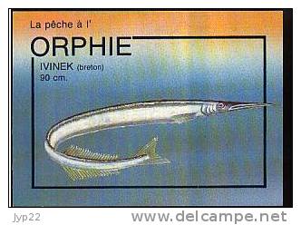 Jolie CP Poisson L'Orphie Ivinek En Breton - Avec Conseils De Pêche Au Dos Appât Nylon Hameçon Pêcheur - Fish & Shellfish