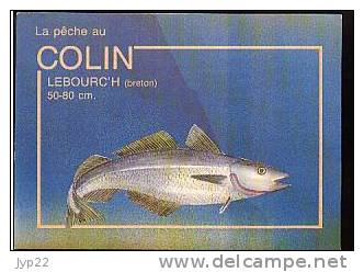 Jolie CP Poisson Le Colin Lebourc'h En Breton - Avec Conseils De Pêche Pêcheur Appât Nylon Hameçon - Vissen & Schaaldieren