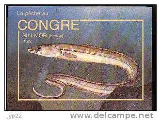 Jolie CP Poisson Le Congre Sili Mor En Breton - Avec Conseils De Pêche Pêcheur Appât Nylon Hameçon - Fish & Shellfish