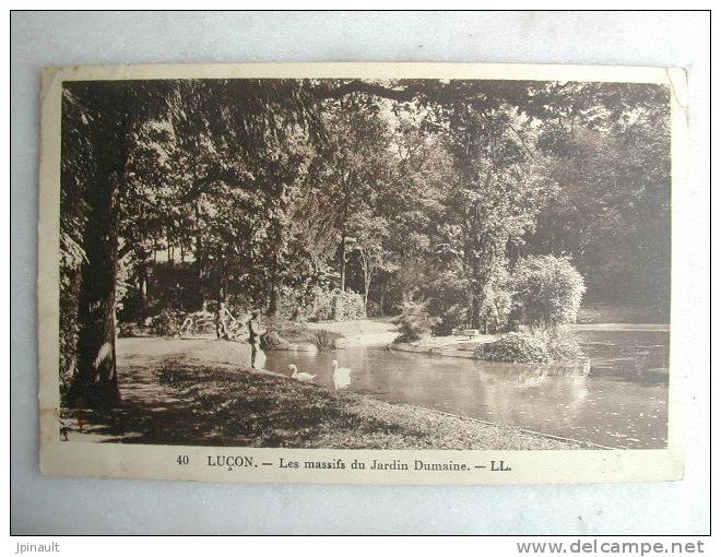 LUCON - Les Massifs Du Jardin Dumaine - Lucon