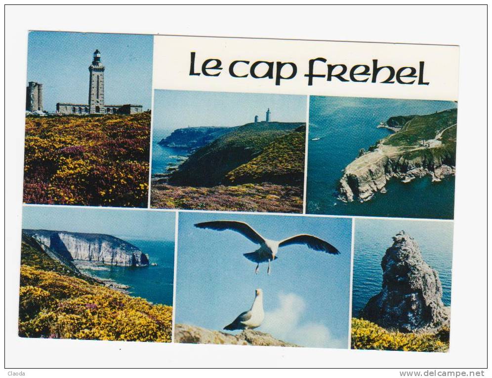 4720 CP LE CAP FREHEL   - Multivues (L´ancien Et Le Nouveau Phare - Goélands) - Cap Frehel