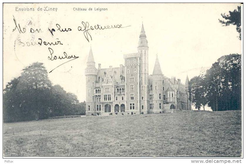 Cpa  Château De LEIGNON , Environs De Ciney - Ciney
