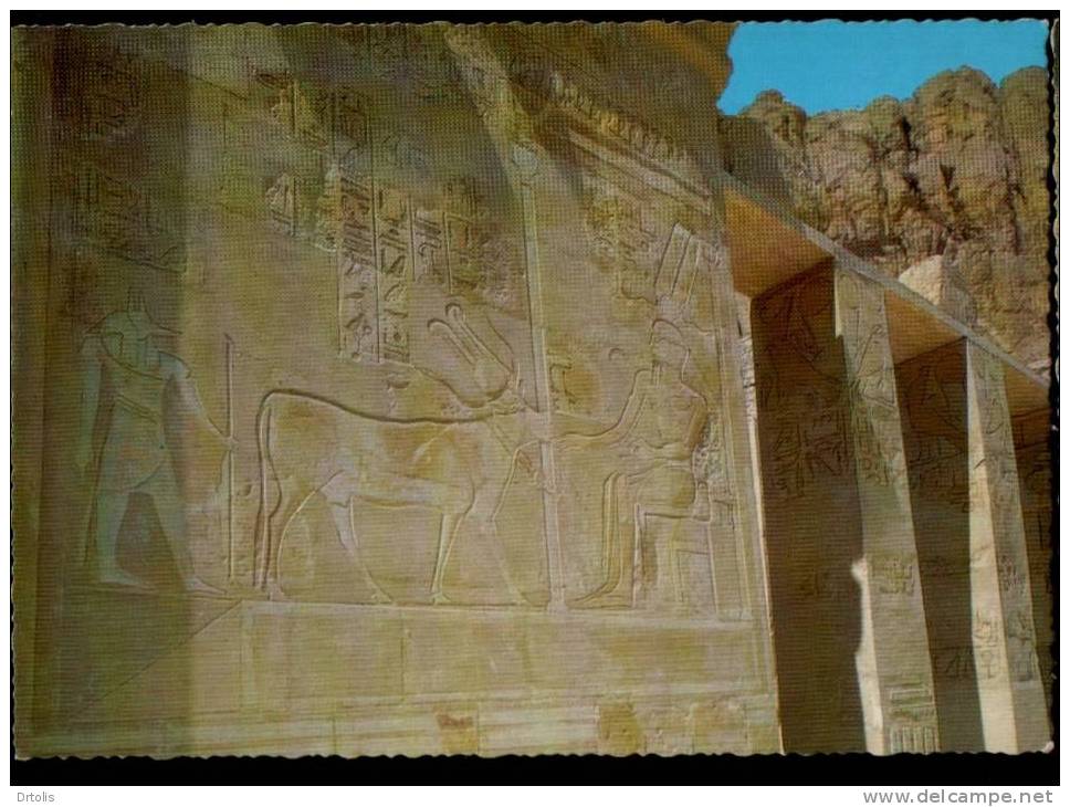 EGYPT / EGYPTOLOGY / LUXOR - DEIR EL BAHARI / RELIEF OF HATHOR / VF . - Louxor