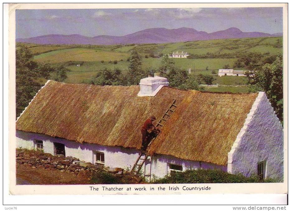 COUNTRYSIDE -  The Thatcher At Work In The Irish.... - Other & Unclassified