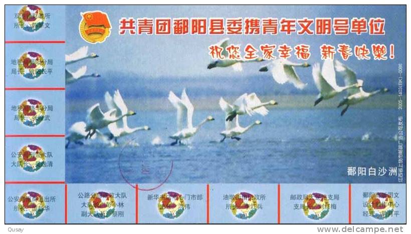 Bird Swan   , Panyang Lake ,   Pre-stamped Card , Postal Stationery - Cygnes