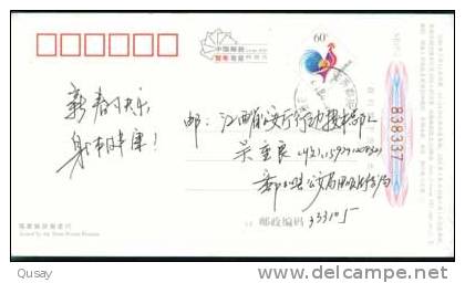 Bird Swan   , Panyang Lake ,   Pre-stamped Card , Postal Stationery - Swans