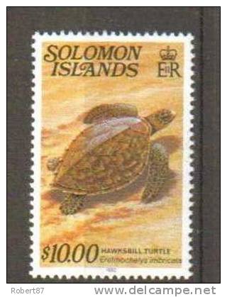 Reptiles + Batraciens - SALOMON (Solomon Islands) - Autres & Non Classés